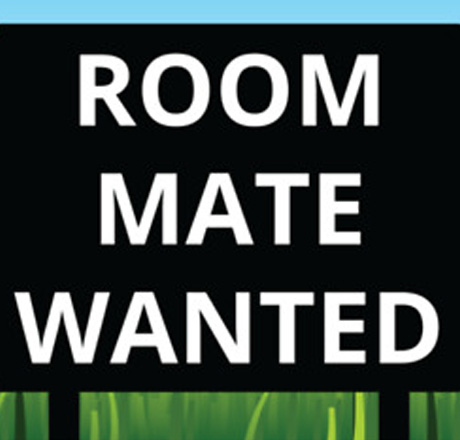 Looking For A Male Roommate Denver CO Looking For A Male Roommate Denver CO
