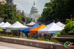 Events in Virginia, Virginia Current Events, world heritage festival, Smoothies