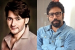 Mahesh Babu news, Mahesh Babu endorsements, mahesh babu and sandeep vanga to join hands, Commercial Mahesh Babu news, Mahesh Babu endorsements, mahesh babu and sandeep vanga to join hands, Commercial