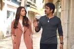 Manmadhudu 2 movie review and rating, Nagarjuna movie review, manmadhudu 2 movie review rating story cast and crew, Viacom18