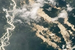 NASA, Amazon rainforest, rare nasa photos reveal the gold rivers in the amazon, 2019 NASA, Amazon rainforest, rare nasa photos reveal the gold rivers in the amazon, 2019