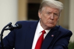 ban, TikTok, trump administration might ban alibaba and other chinese firms, Executive order ban, TikTok, trump administration might ban alibaba and other chinese firms, Executive order