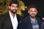 Venky and Rana updates, Venky and Rana projects, venky and rana daggubati s first web series in making, Web series