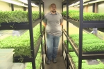 Two Mesa Men takes micro farming, Two Mesa Men takes micro farming, two mesa men takes micro farming to the next level, Smoothies